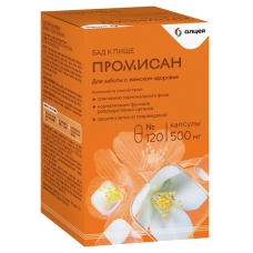 Промисан капсулы 500мг №120
