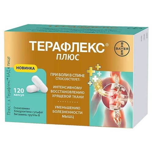 Терафлекс Плюс капсулы №120