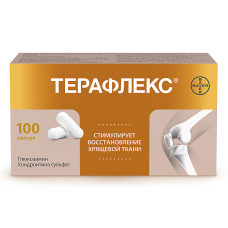 Терафлекс капсулы №100