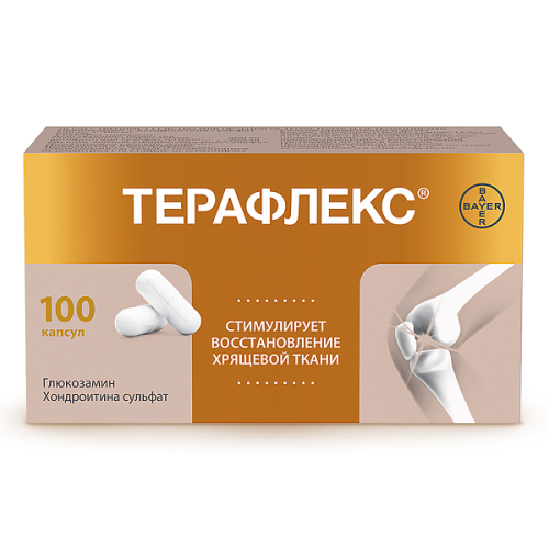 Терафлекс капсулы №100