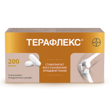 Терафлекс капсулы №200