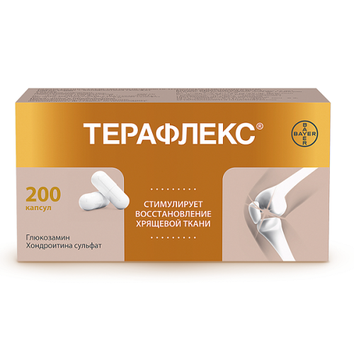 Терафлекс капсулы №200