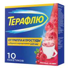 Терафлю порошок Лесные ягоды саше №10